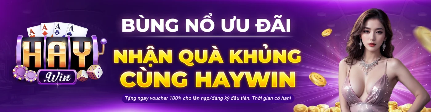 banner haywin